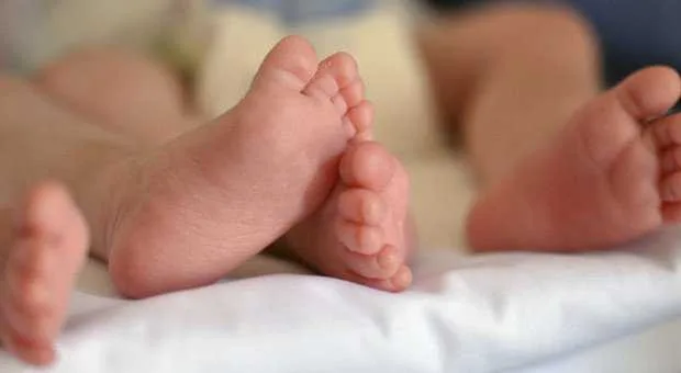 Neonati con patologie inguaribili: per la SIN interventi non più procastinabili