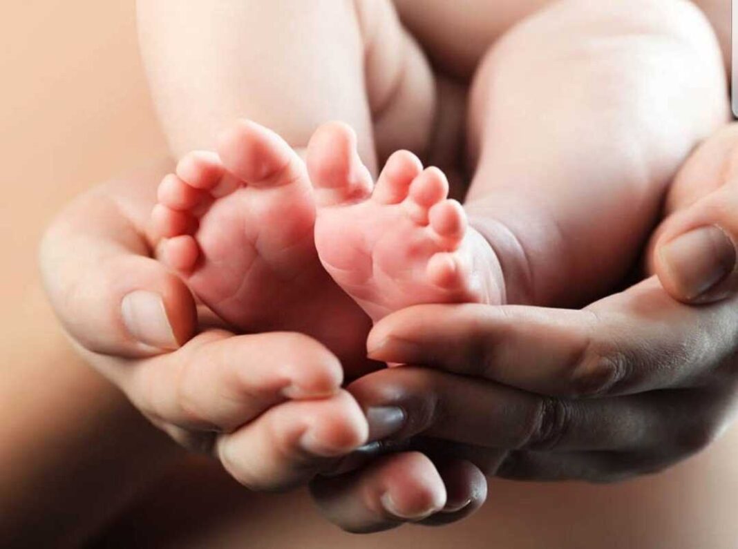 Screenshot_20190902-065927_Gallery