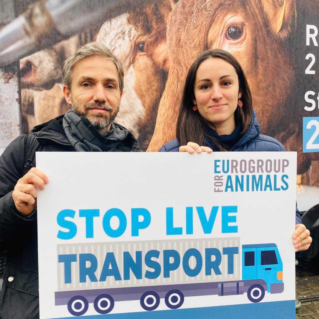 trasporto-animali