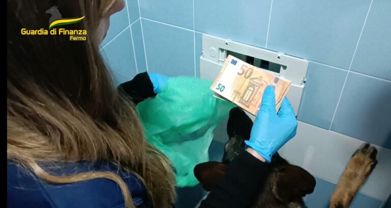 Smantellata organizzazione dedita al traffico di stupefacenti. Rinvio a giudizio per 15 persone
